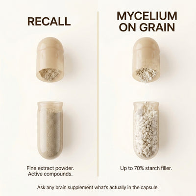 Recall's Lions Mane Complex