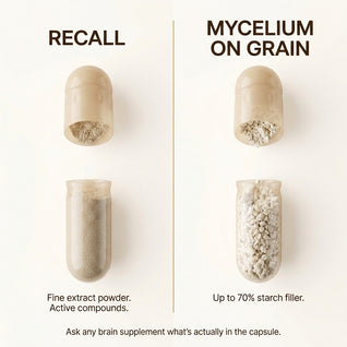 Recall's Lions Mane Complex