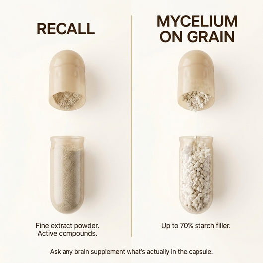 Recall's Lions Mane Complex