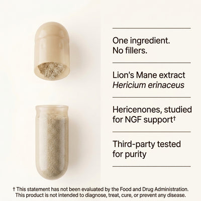 Recall's Lions Mane Complex