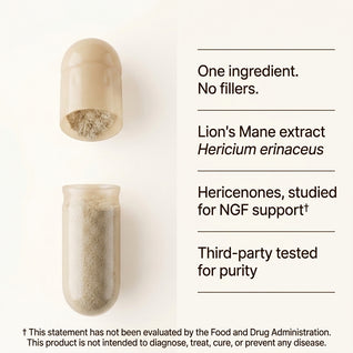 Recall's Lions Mane Complex